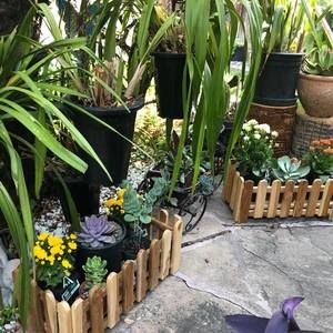 Meet your Posher, Holly